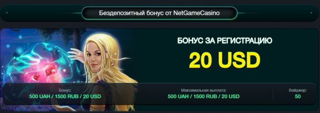 netgame-20usd